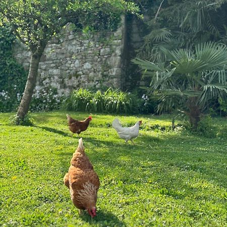 B&B Antico Fienile Gorizia Dış mekan fotoğraf