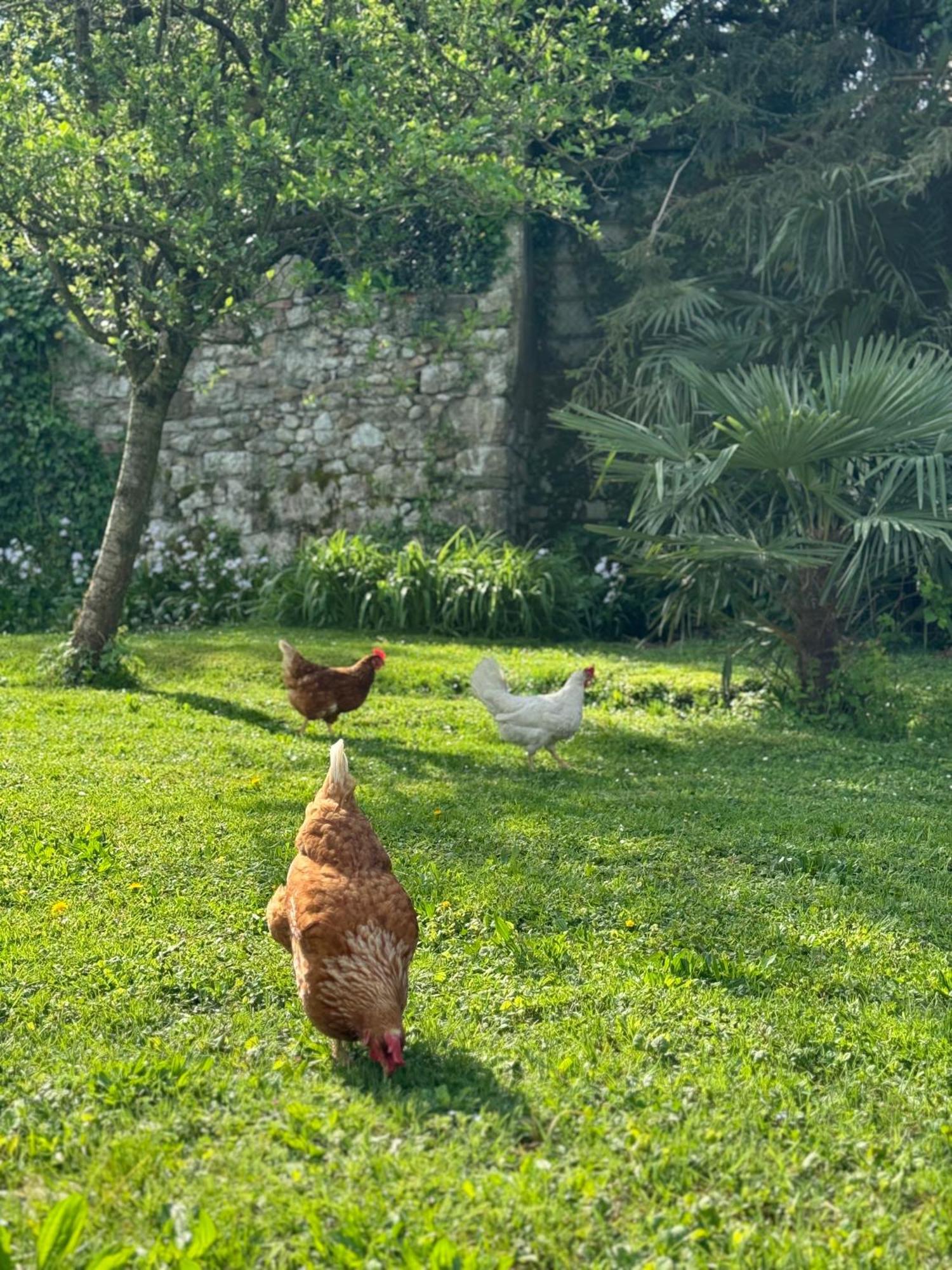 B&B Antico Fienile Gorizia Dış mekan fotoğraf
